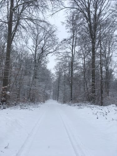 Von Dettingen zum Schloss Mochental