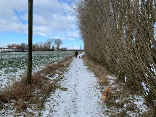 Brodersby - Burg - Geel
