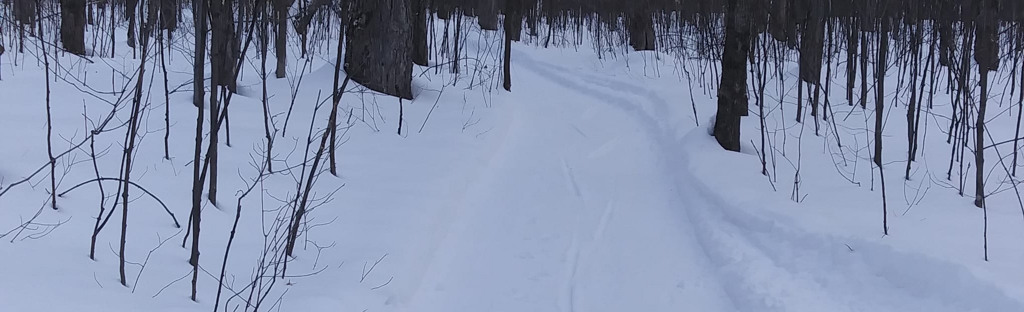 Crabtree Maple Trail 45 Reviews, Map Quebec, Canada AllTrails