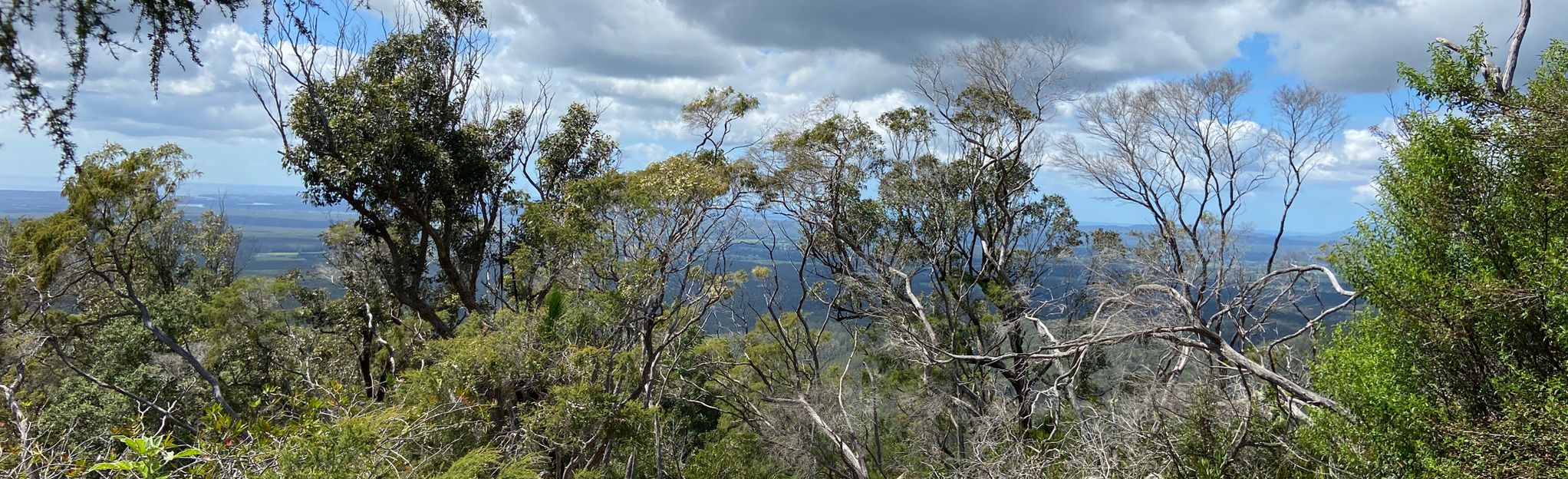 Elephant Trail Race 25km Course 2020, New South Wales, Australia - 33 ...