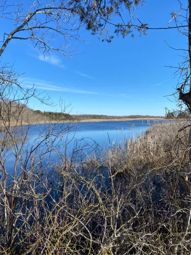 Best Hikes And Trails In Edwin B Forsythe National Wildlife Refuge ...