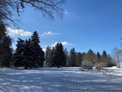 Eiszeitpfad - Blaubeurer Felsenstieg