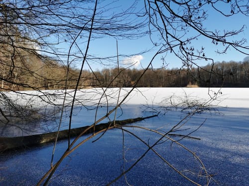 Um den Berggeistweiher