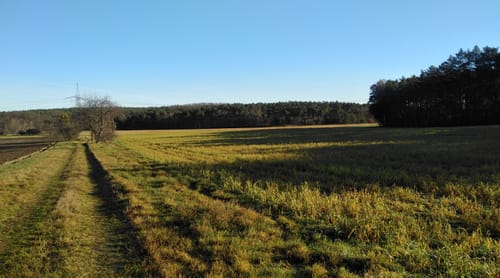 Windmühle Saalow zum Höllenberg