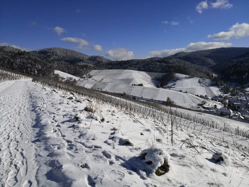 Neuweierweg zum Büchelberg