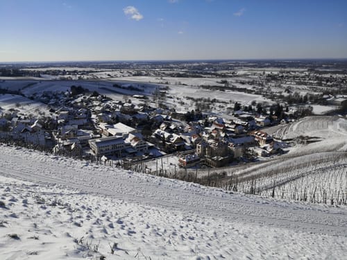Neuweierweg zum Büchelberg