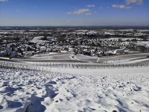 Neuweierweg zum Büchelberg
