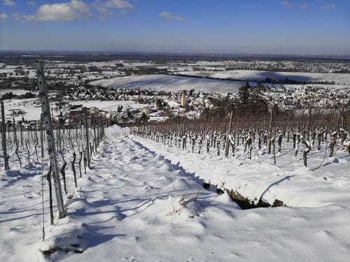 Neuweierweg zum Büchelberg