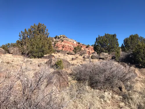 10 Best Trails and Hikes in Springerville | AllTrails