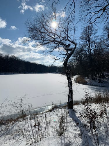 Dessau-Roßlau Kühnauer See Runde