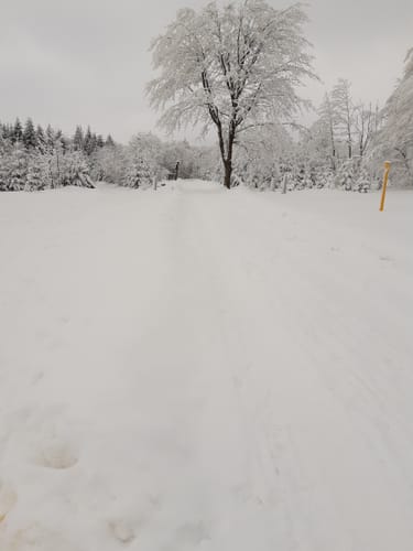 Skilanglauf auf der Loipe in Bad Einsiedel
