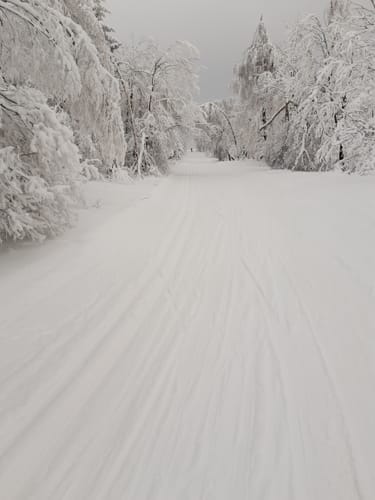 Skilanglauf auf der Loipe in Bad Einsiedel