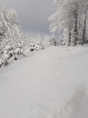 Skilanglauf auf der Loipe in Bad Einsiedel