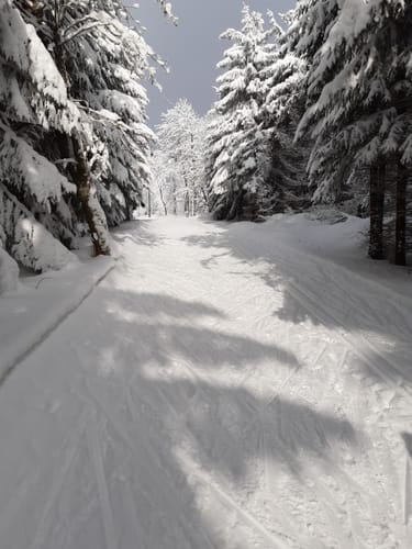 Skilanglauf auf der Loipe in Bad Einsiedel