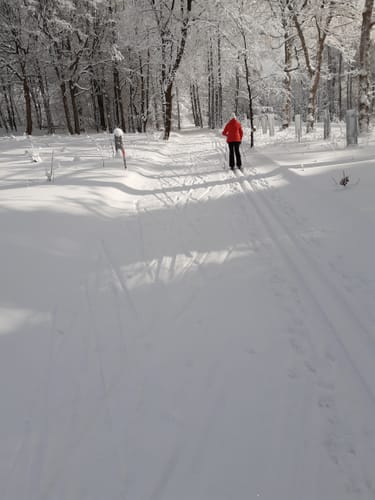 Skilanglauf auf der Loipe in Bad Einsiedel