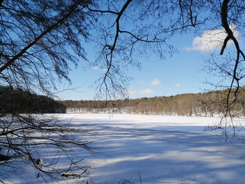 Schlachtensee-Runde