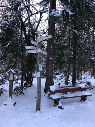 Naturparkweg Schmetterling Engländer
