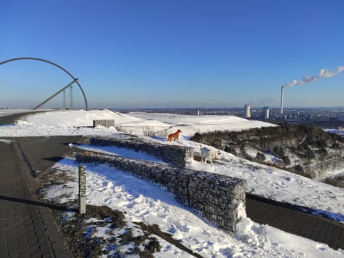 Zeche Ewald und Halde Hoheward