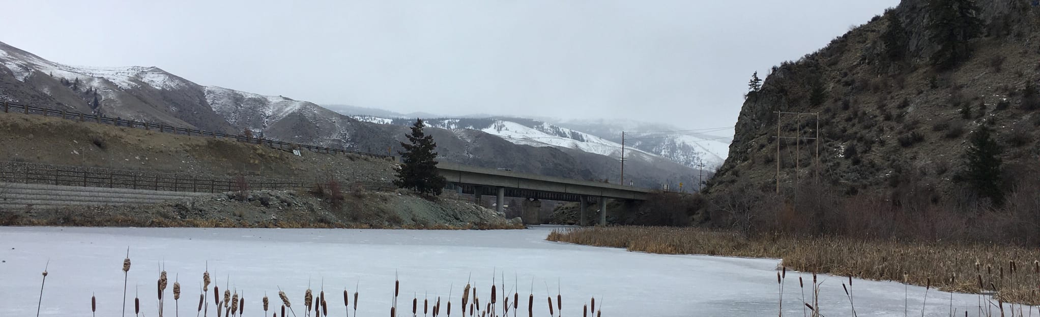 Entiat Park Trail, Washington 37 Reviews, Map AllTrails