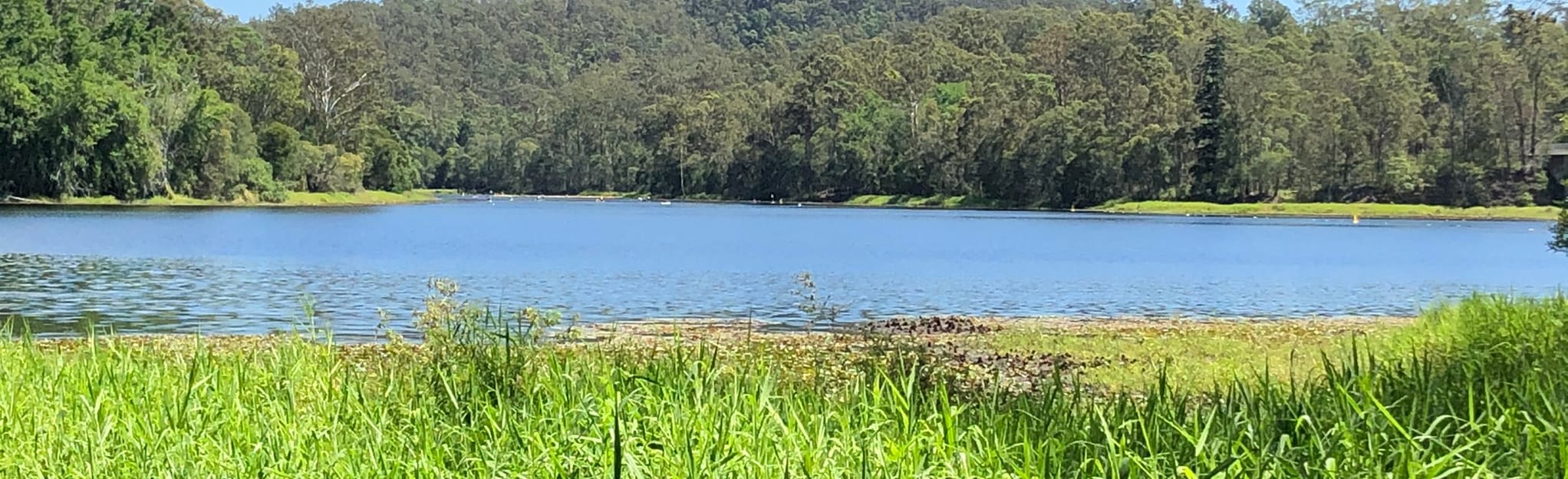 Lake Manchester to Gap Creek Reserve 1 Reviews, Map Queensland
