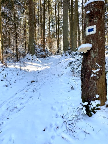 Rundwanderweg bei Ihrlerstein