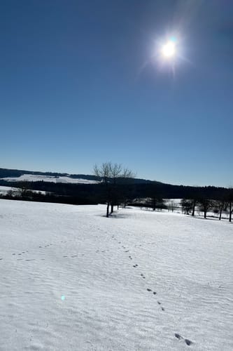Rundweg Wart - Wenden