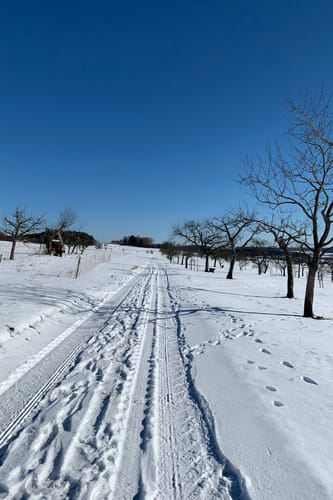 Rundweg Wart - Wenden
