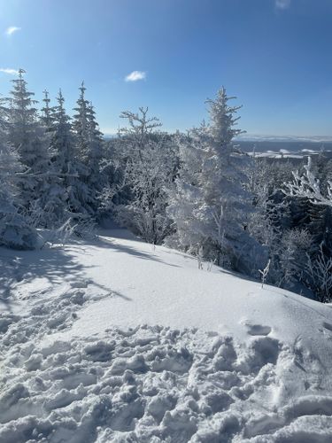 2023 Best 10 Forest Trails in Thuringian Forest Nature Park | AllTrails