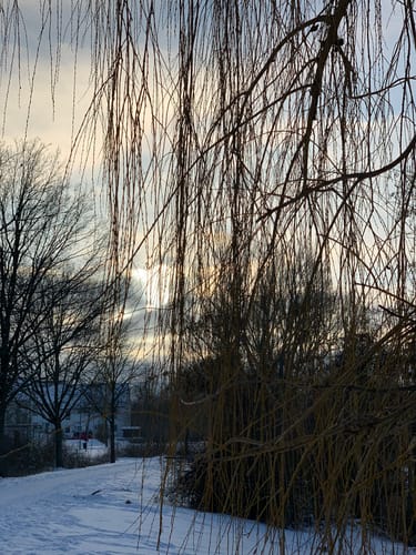 Großes und Kleines Rückhaltebecken am MLC