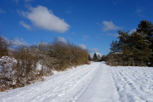 Alfeld nach Wörleinshof