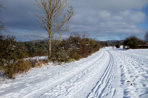 Alfeld nach Wörleinshof