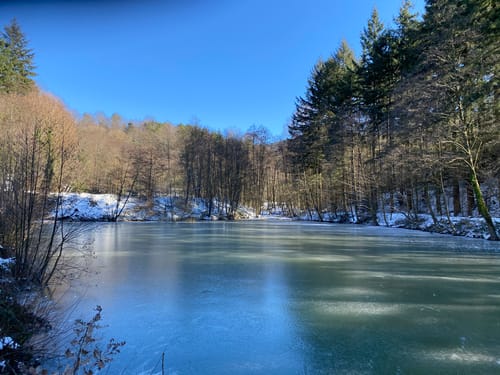 Ortenauer Weinpfad Etappe 2: Baden-Baden - Neusatz