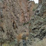 Gilman Tunnels Trail, New Mexico - 92 Reviews, Map | AllTrails