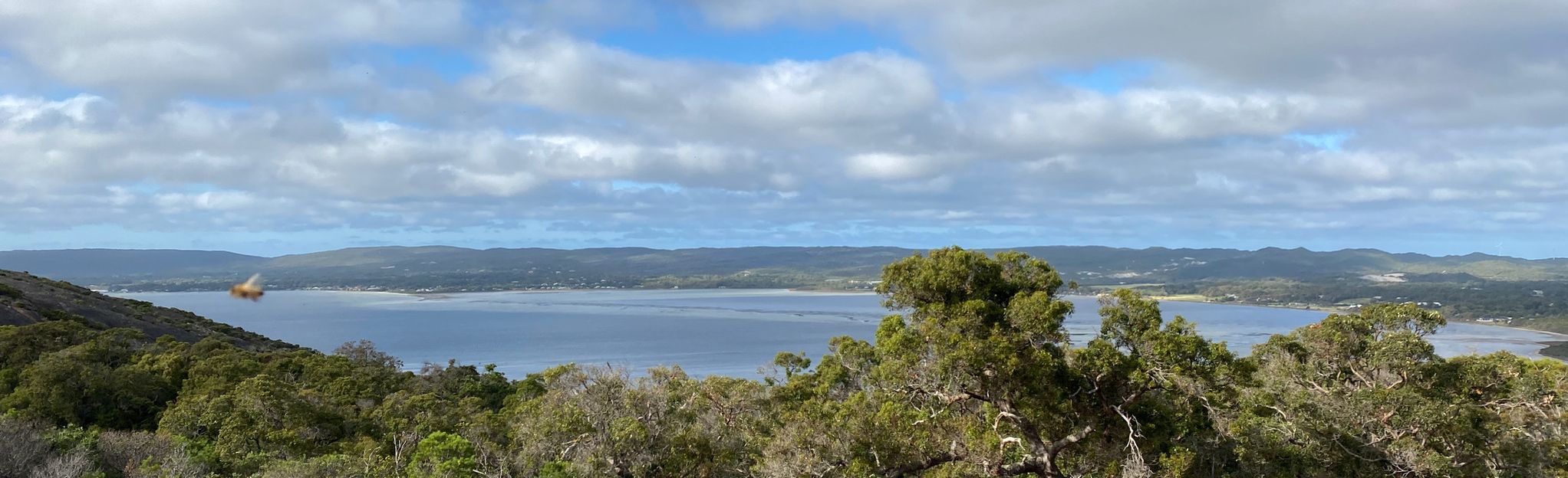 Mount Melville Loop: 143 Reviews, Map - Western Australia, Australia ...