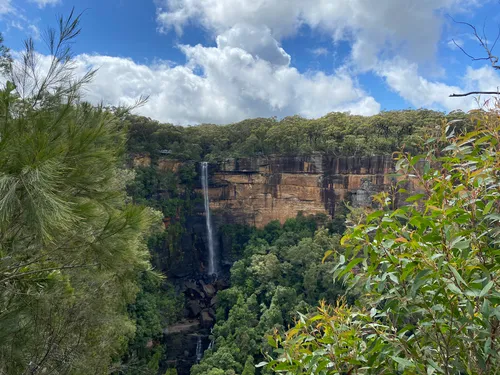 Meryla State Forest: de beste routes om te wandelen | AllTrails