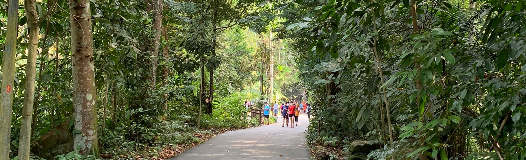 Tiup Tiup Path, North View, and Rock Path Loop, Central, Singapore ...