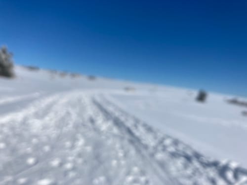 Erlebnisloipe Rund um die lange Rhön