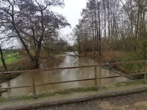 Nette-Natur-Weg (Mayen)