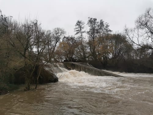 Rundweg Andernach