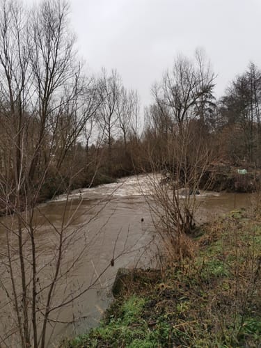 Nette-Natur-Weg (Mayen)