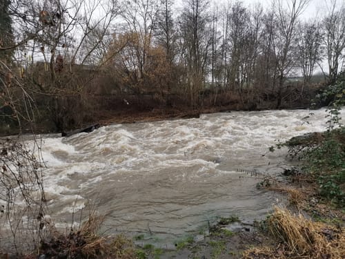 Rundweg Andernach