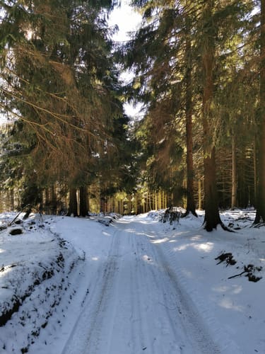 Fahlenscheid Runde