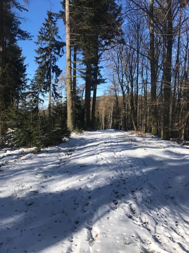 Um den Franzosenkopf