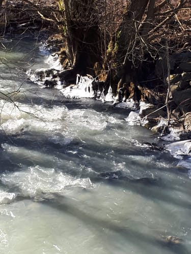 Von Großholbach nach Girod