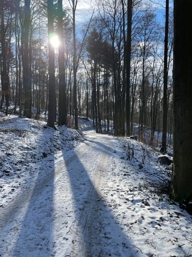 Heppenheim, Granitwerke Röhrig und Schloßberg
