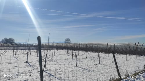 Rund um den Trimmdichpfad Schäferhof