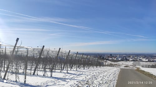 Rund um den Trimmdichpfad Schäferhof