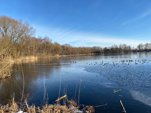 See im Großen Moor und Pulvermühlenteich ab Meckelfeld