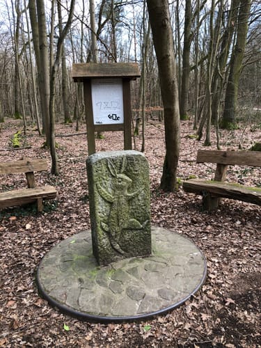 Mittelrhein-Volkslauf