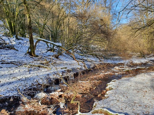 Eitzweiler: Mühlenberg Runde